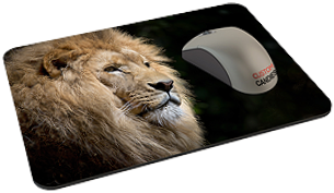 Εκτύπωση σε mouse pad